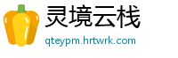 灵境云栈